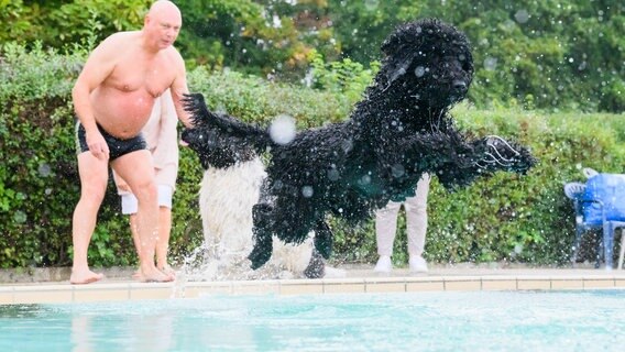 Ein Hund springt in ein Schwimmbad. © dpa/Julian Stratenschulte Foto: Julian Stratenschulte