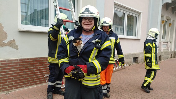 Ein Feuerwehrmann hat eine Katze in seiner Jacke - im Hintergrund stehen drei weitere Einsatzkräfte mit einer Leiter. © Polizeiinspektion Hildesheim 