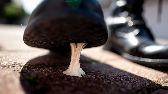 Ein Mann tritt auf der Straße auf einen Kaugummi, der dann unter seinem Schuh klebt. © picture-alliance / dpa Foto: Peter Steffen