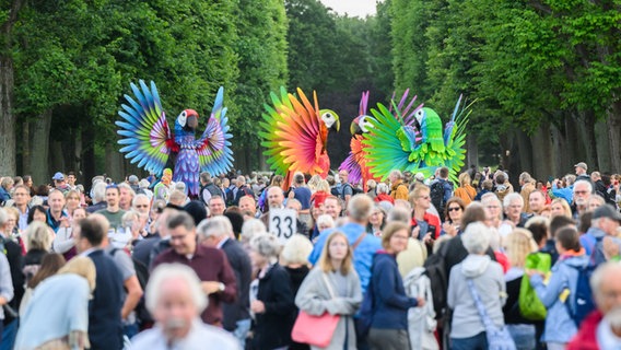 Die großen Papageifiguren der Künstlergruppe "Pavana" laufen zwischen Besuchern beim Kleinkunstfestival Kleines Fest im Großen Garten auf. © Julian Stratenschulte/dpa Foto: Julian Stratenschulte