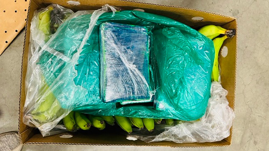 Päckchen mit Kokain liegen in einem Bananenkarton.