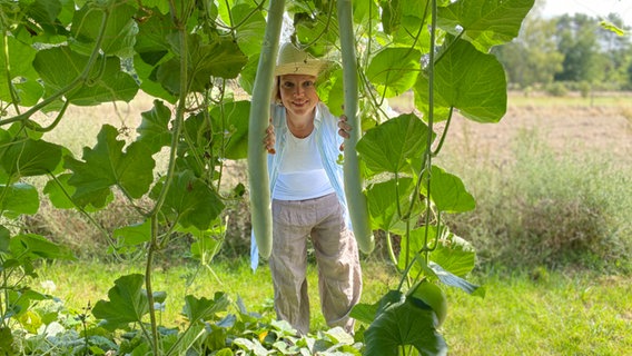 Virginia Lauterbach blickt in einem Garten zwischen zwei hängende Kürbisse. © Virginia Lauterbach 