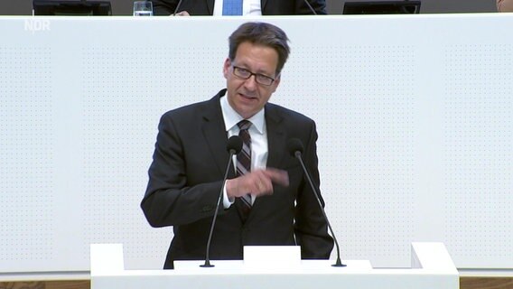 Stefan Birkner (FDP) spricht im Niedersächsischen Landtag. © NDR 
