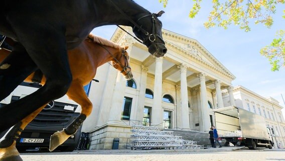 Zwei Pferde vor dem Niedersächsischem Landtag in Hannover. © Julian Stratenschulte/dpa Foto: Julian Stratenschulte/dpa