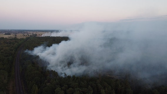 Eine Rauchsäule steigt über einem Waldstück auf. © dpa-Bildfunk/TNN 