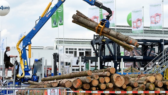 Maschine hebt Baumstämme auf der Ligna 2017 © Deutsche Messe 