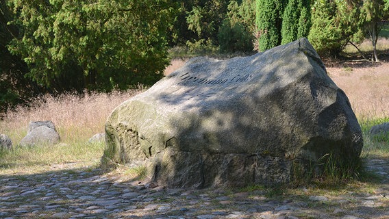 Gedenkstein für Hermann Löns auf dem Löns-Grab im Tietlinger Wacholderhain. © NDR Foto: Nils Hartung