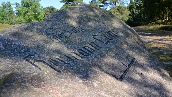 Gedenkstein für Hermann Löns auf dem Löns-Grab im Tietlinger Wacholderhain. © NDR Foto: Nils Hartung