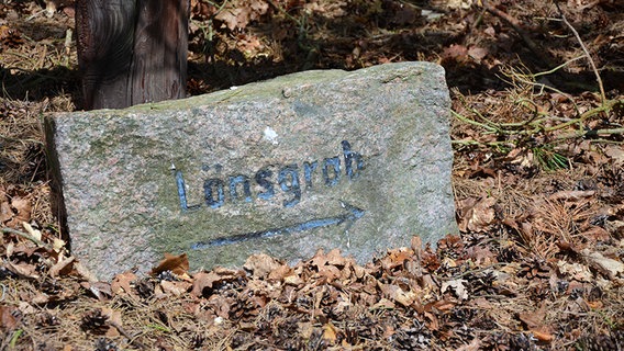 Ein Hinweisstein weist den Weg zum Löns-Grab im Tietlinger Wacholderhain. © NDR Foto: Nils Hartung