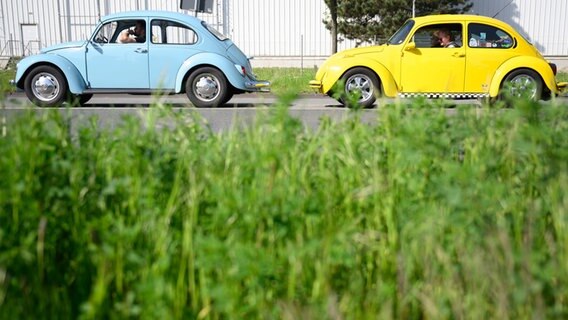 Volkswagen Käfer kommen zum MaiKäfertreffen aufs Messegelände von Hannover. © Julian Stratenschulte/dpa 