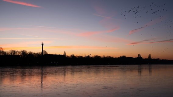 Hannover: Vögel fliegen beim Sonnenaufgang über dem zum Teil gefrorenen Maschsee. © dpa-Bildfunk Foto: Marco Rauch