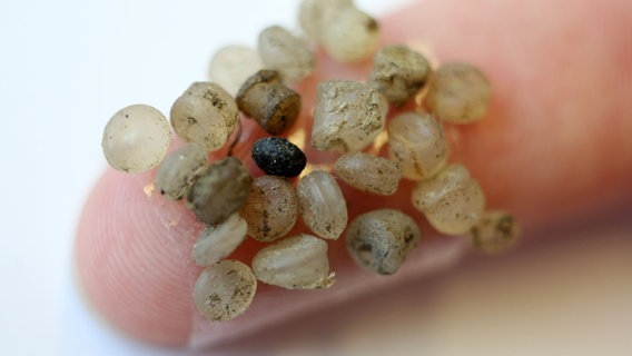 Mikroplastik-Teilchen kleben an einem Klebestreifen an einem Finger. © dpa-Bildfunk Foto: Bernd Wüstneck