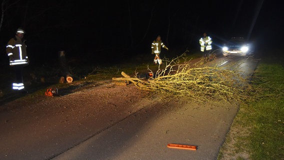 Ein Baum liegt auf einer Straße. © Polizeiinspektion Nienburg / Schaumburg 