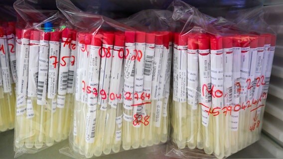 PCR-Tests von Patienten liegen im Labor Nordlab in einem Kühlschrank. PCR-Tests von Patienten liegen im Labor Nordlab in einem Kühlschrank. © dpa Foto: Julian Stratenschulte