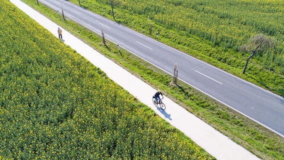 Ein Radfahrer fährt auf einem Fahrradweg neben einem blühenden Rapsfeld. © dpa-Bildfunk Foto: Julian Stratenschulte