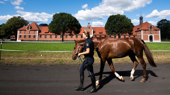 Konstanze Heine von der Reiterstaffel der Polizei Hannover führt Pferd Oldenburger Linus auf das Landgestüt Celle. © dpa - Bildfunk Foto: Julian Stratenschulte