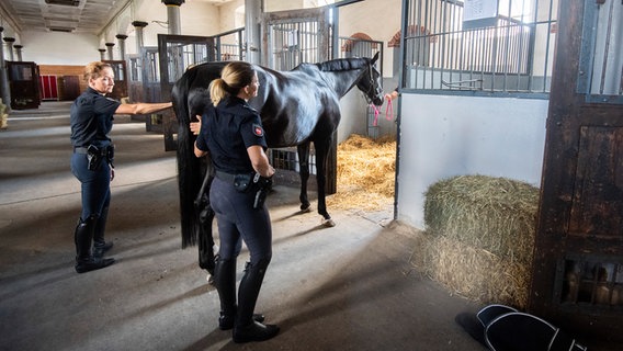 Polizistinnen der Reiterstaffel der Polizei Hannover führen ein Pferd in eine Box im Landgestüt Celle. © dpa - Bildfunk Foto: Julian Stratenschulte