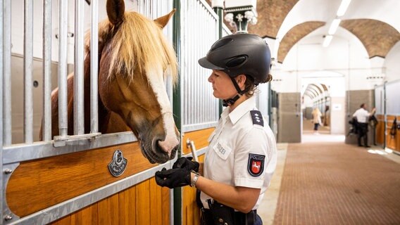 Eine Polizistin füttert ein Polizeipferd in einem Stall auf dem Gelände der Polizeiinspektion Besondere Dienste. © dpa-Bildfunk 