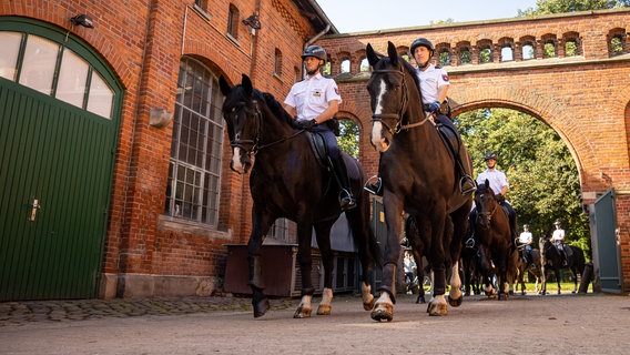 Mitglieder der Polizeireiterstaffel Hannover reiten auf das Gelände der Polizeiinspektion Besondere Dienste. © dpa-Bildfunk 