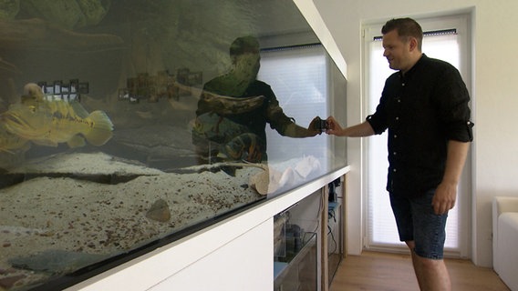 Thorben Hohmann steht vor seinem Aquarium. © NDR 