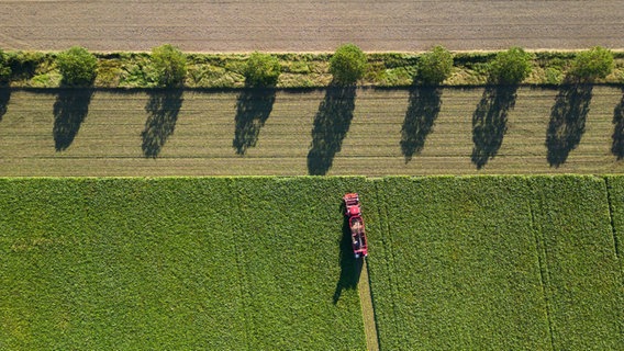 Ein Rübenroder erntet Zuckerrüben auf einem Feld in der Region Hannover. © dpa - picture alliance Foto: Julian Stratenschulte