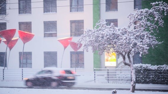 Ein Pkw fährt durch Schnee. © dpa-Bildfunk Foto: Julian Stratenschulte