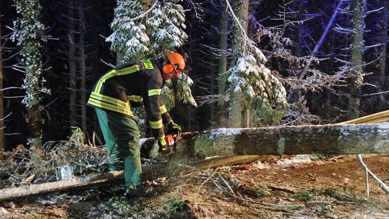 Ein Feuerwehrmann entfernt an einer Straße in Bad Essen im Osten des Landkreises Osnabrück Bäume, die durch die hohe Schneelast umgestürzt waren. Ein Feuerwehrmann entfernt an einer Straße in Bad Essen im Osten des Landkreises Osnabrück Bäume, die durch die hohe Schneelast umgestürzt waren. © Heinz-Jürgen Reiss/NWM-TV/dpa Foto: Heinz-Jürgen Reiss