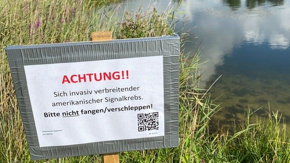 Ein Schild an einem Teich in Neustadt am Rübenberge weist auf den invasiven Signalkrebs hin. © NDR Foto: Sonja Engelke