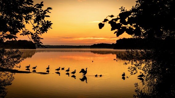 Die Sonne geht über einem See auf. © Moritz Frankenberg/dpa Foto: Moritz Frankenberg