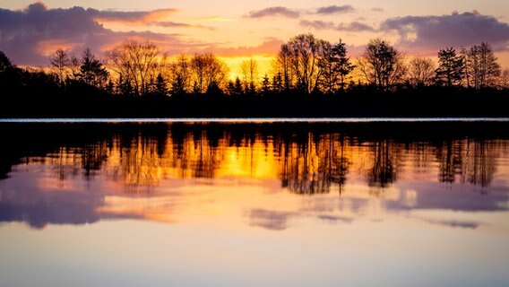Der Himmel über dem Hufeisensee in der Region Hannover strahlt bei Sonnenaufgang orange. © dpa-Bildfunk Foto: Moritz Frankenberg/dpa