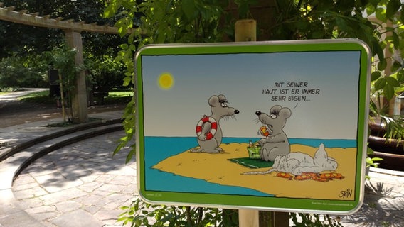 Auf einem Schild in einem Park in Bad Pyrmont ist eine Zeichnung von Uli Stein zu sehen. © NDR Foto: Kristin Häfemeister