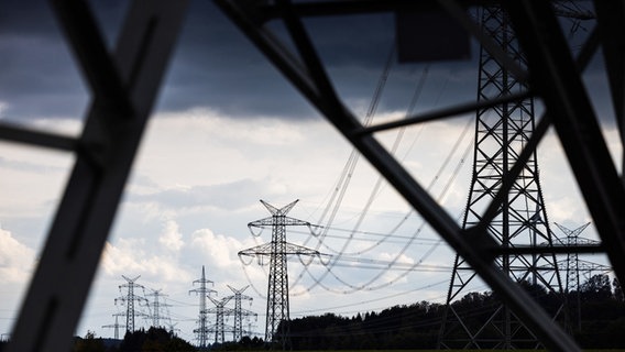 Strommasten der Höchstspannungsleitung Wahle stehen während der Inbetriebnahme der ersten beiden Abschnitte der Höchstspannungsleitung Wahle am Tennet Umspannwerk. © Ole Spata/dpa Foto: Ole Spata