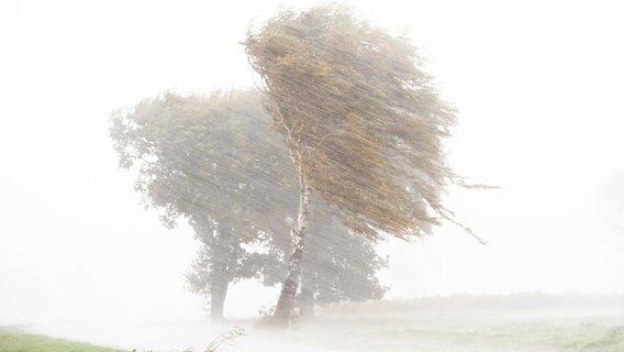 Starkregen, Hagel und starke Sturmböen ziehen während des Sturmtiefs "Ignatz" über Niedersachsen © dpa-Bildfunk Foto: Julian Stratenschulte
