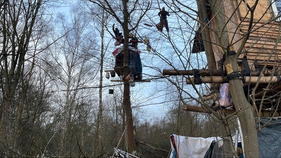 Aktivisten hängen im Protestcamp in der Leinemasch in Bäumen. © NDR Foto: Niels Kristoph