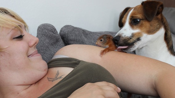 Eine Frau, ein Hund und ein Eichhörnchen. © dpa - Bildfunk Foto: Beate Ney-Janßen