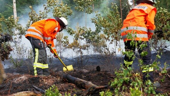 Feuerwehrleute bei Brandbekämpfung und Nachlöscharbeiten in einem Wald © Freiwillige Feuerwehr Celle 