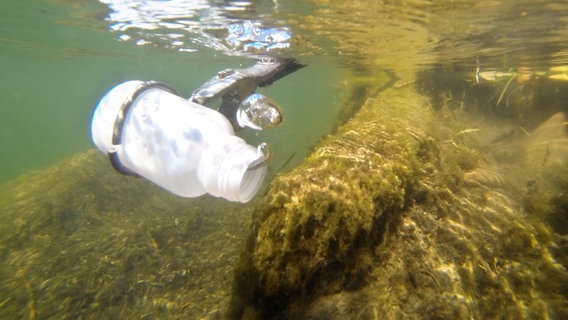 Eine Kunststoffflasche zur Wasserprobenentnahme schwimmt in einem See. © dpa-Bildfunk Foto: Julian Stratenschulte