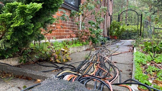 Unzählige Kabel auf dem Gartenweg des Weihnachtshauses Calle © NDR Foto: Bertil Starke