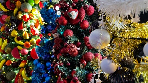 Weihnachtsbäume im Haus der Familie Jeromin © NDR Foto: Larissa Mass