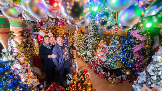 Susanne und Thomas Jeromin stehen inmitten von Weihnachtsbäumen im Wohnzimmer ihres Hauses im Landkreis Schaumburg. © dpa-Bildfunk Foto: Julian Stratenschulte
