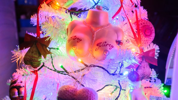 Ein "nicht jugendfreier" Weihnachtsbaum steht im Haus der Familie Jeromin im Landkreis Schaumburg. © dpa-Bildfunk Foto: Julian Stratenschulte