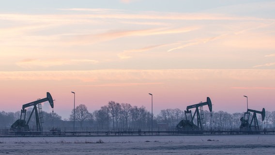 Niedersachsen, Emlichheim: Mehrere Gestängetiefpumpen (auch Pferdekopfpumpe) für Erdöl sind während der Dämmerung zu sehen. © dpa-Bildfunk Foto: Friso Gentsch