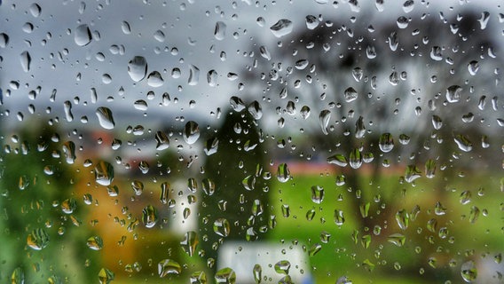Regentropfen stehen auf einer Fensterscheibe. © NDR Foto: Rolf Sander