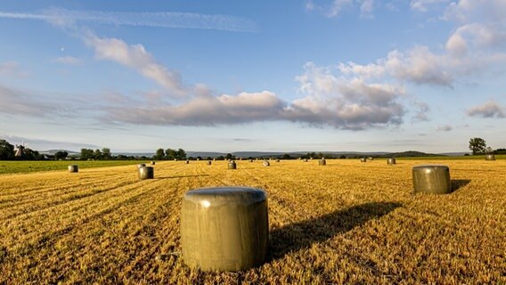 Silageballen liegen auf einem Feld bei Ronnenberg. © NDR Foto: Detlef Jürges