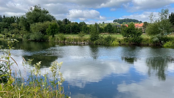 Ein Blick auf die Leine im Grünen. © NDR Foto: Sandra Reinhardt