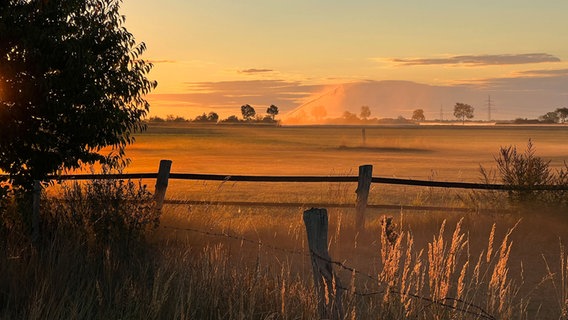 Sonnenaufgang über einem Feld. © NDR Foto: Matthias Zastrow