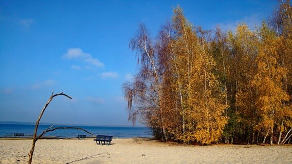 Strand am Steinhuder Meer. © NDR Foto: Doris Dräger