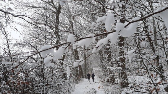 Zwei Personen wandern durch ein Waldstück im Schnee. © NDR Foto: Jürgen Zimmat