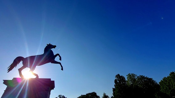 Die Sonne scheint durch die Statue eines Pferdes vor der Uni in Hannover. © NDR Foto: Frank Gohla
