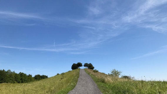 EIn Blick auf den Kronsberg in Hannover. © NDR Foto: Kinga Wachowiak